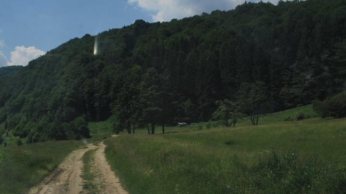 Wiese 132ha + 397ha bei risma