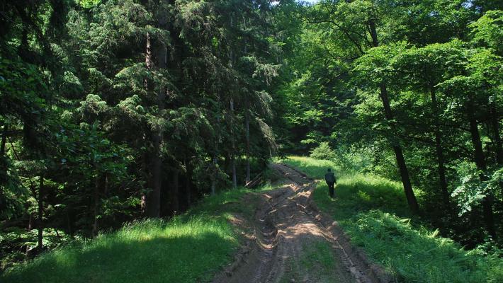 Straße 132ha + 397ha bei risma